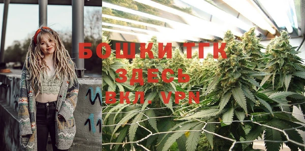 ECSTASY Лиски
