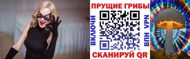 Псилоцибиновые грибы Psilocybe  где купить наркотик  Краснодар 